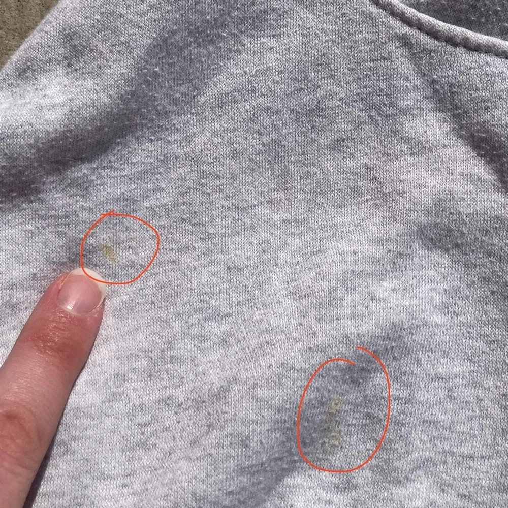 DSG Light Gray Hoodie - Picture 4 of 4